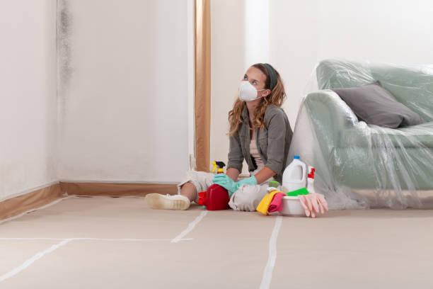 Reliable Attic Mold Removal contractor in Greenville, FL by WQB Mold Removal